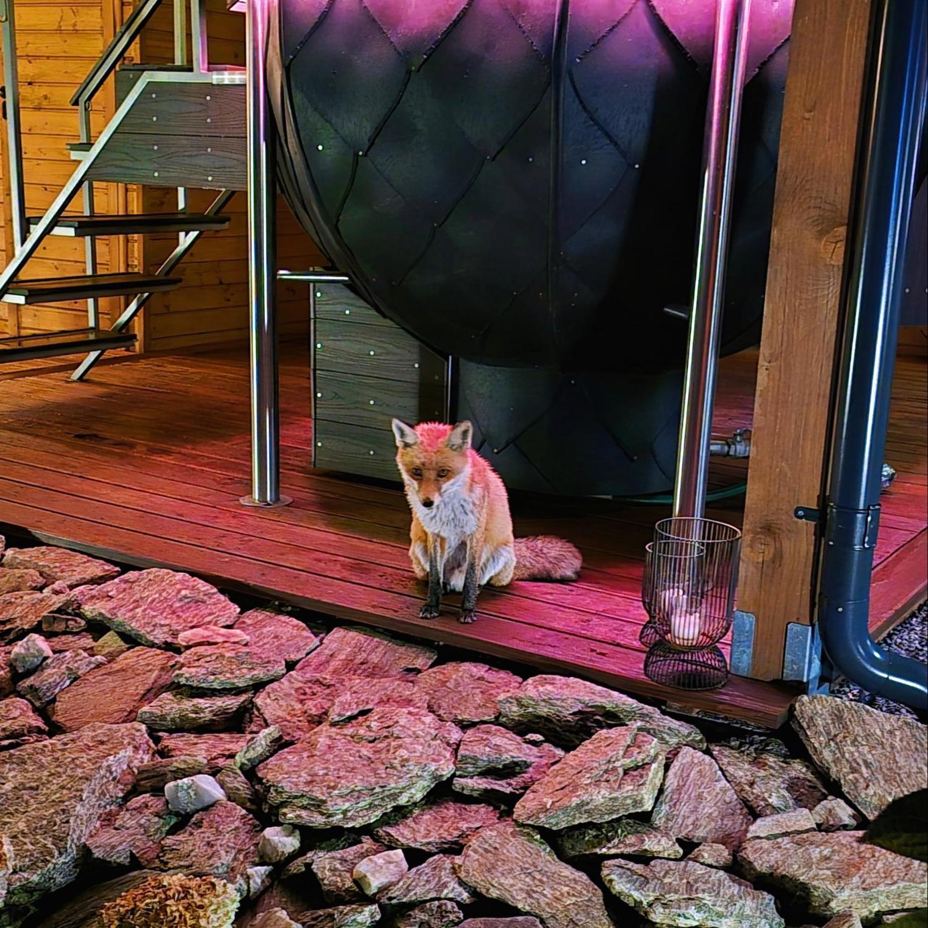 Osada Orlica Klimatyczne Domki Z Widokiem Na Gory I Termalnym Spa Sauna Jacuzzi 4 Km Od Zieleniec Ski Arena Lasowka Экстерьер фото